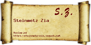 Steinmetz Zia névjegykártya